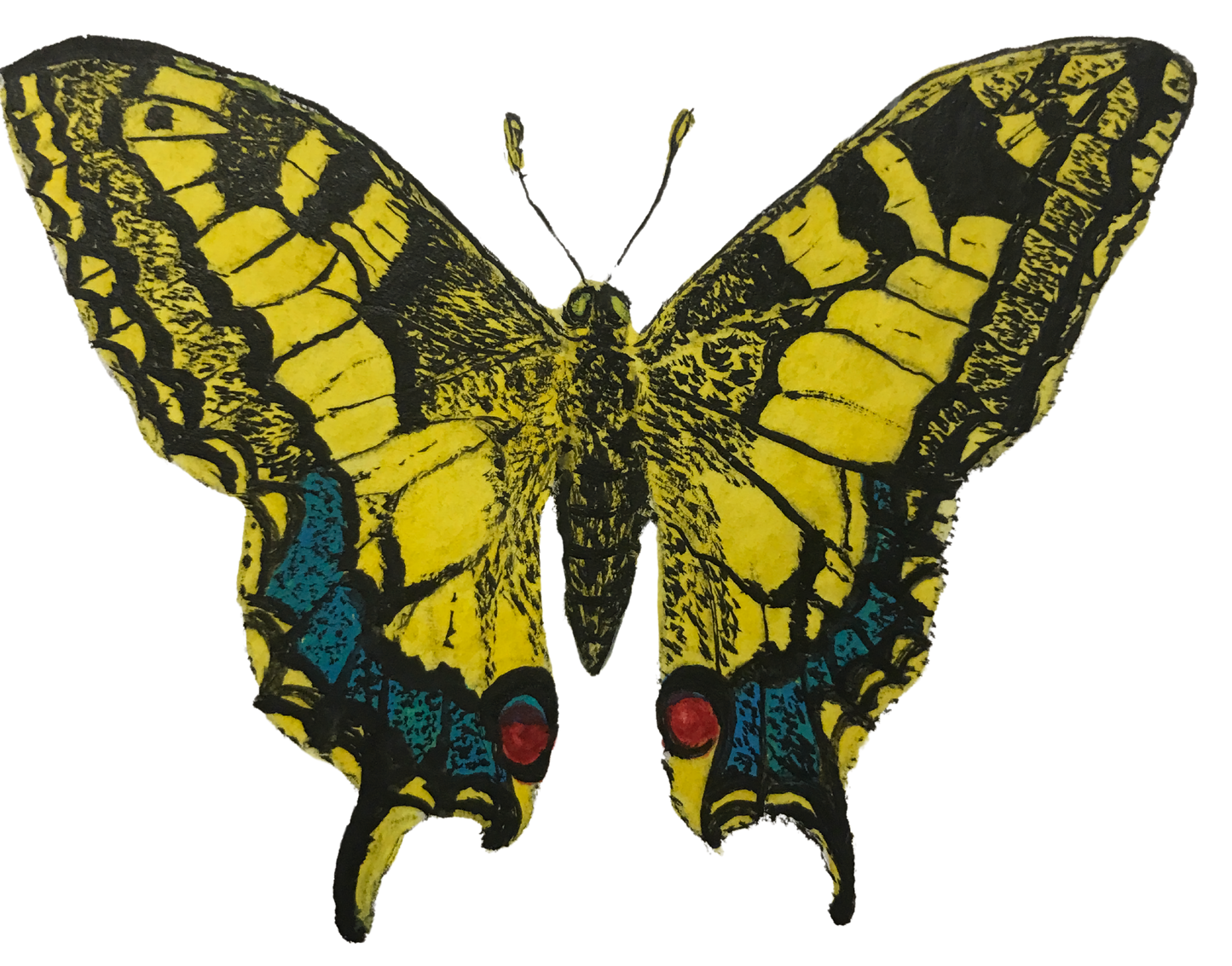 Spiritual Life Coaching & Mentoring